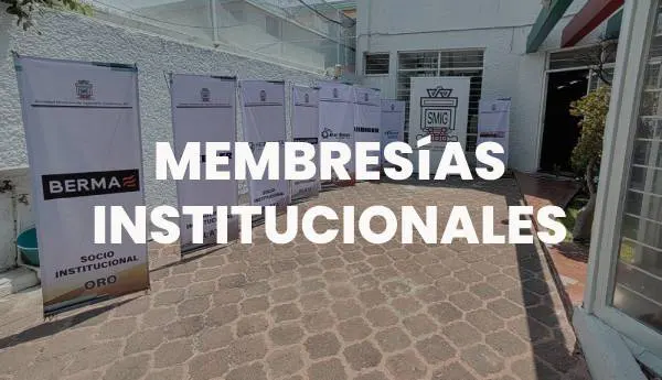 Revista trimestral SMIG, enlace, visualizar revista PDF