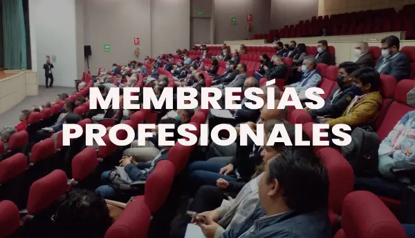 membresias profesionales, SMIG, enlace